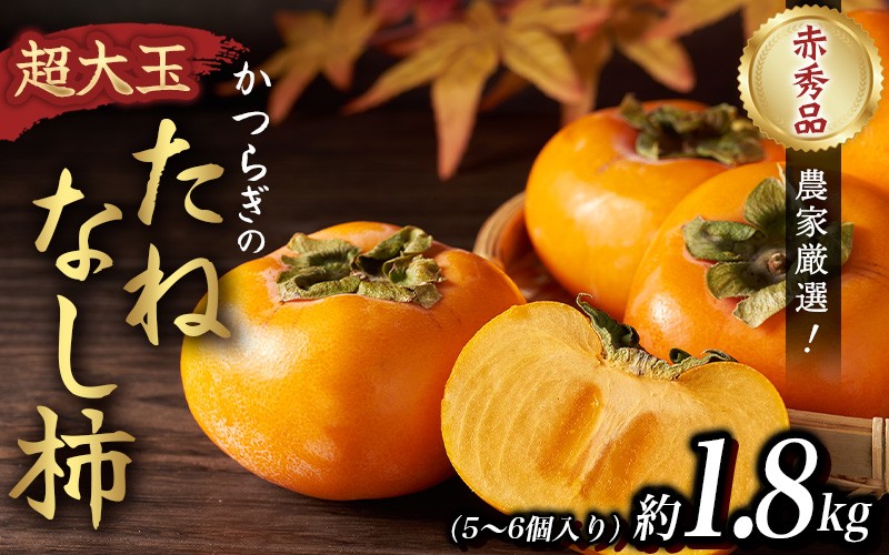 
                   【2026年先行予約】柿 種無し 赤秀品 超大玉 約1.8kg 5～6個 【2026年9月末頃～10月末頃に順次発送予定（お届け日指定不可）】/ 和歌山 柿 かき フルーツ 果物 くだもの 刀根 種無し【kgr003A】
                