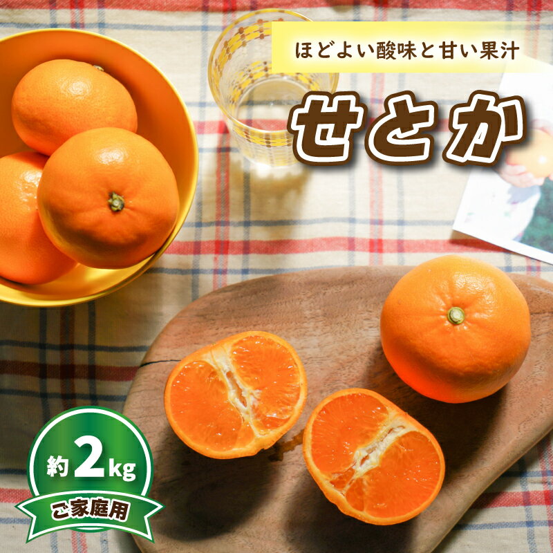 【ふるさと納税】 【先行予約】みかん 【2026年3月中旬発送予定】 せとか (家庭用) 約2kg | 予約販売 みかん 柑橘 せとか 早期予約 蜜柑 みかん 愛媛県 松山市