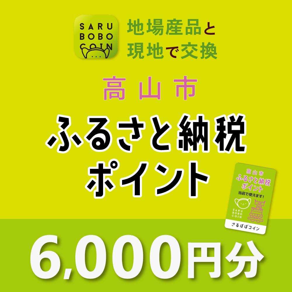 【ふるさと納税】高山市ふるさと納税ポイント 6,000pt【飛騨信用組合 SB003】