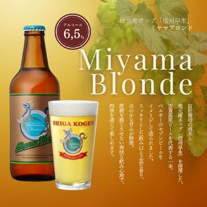 クラフトビール 定期便 6ヶ月 志賀高原ビール 12本 セット クラフトビール