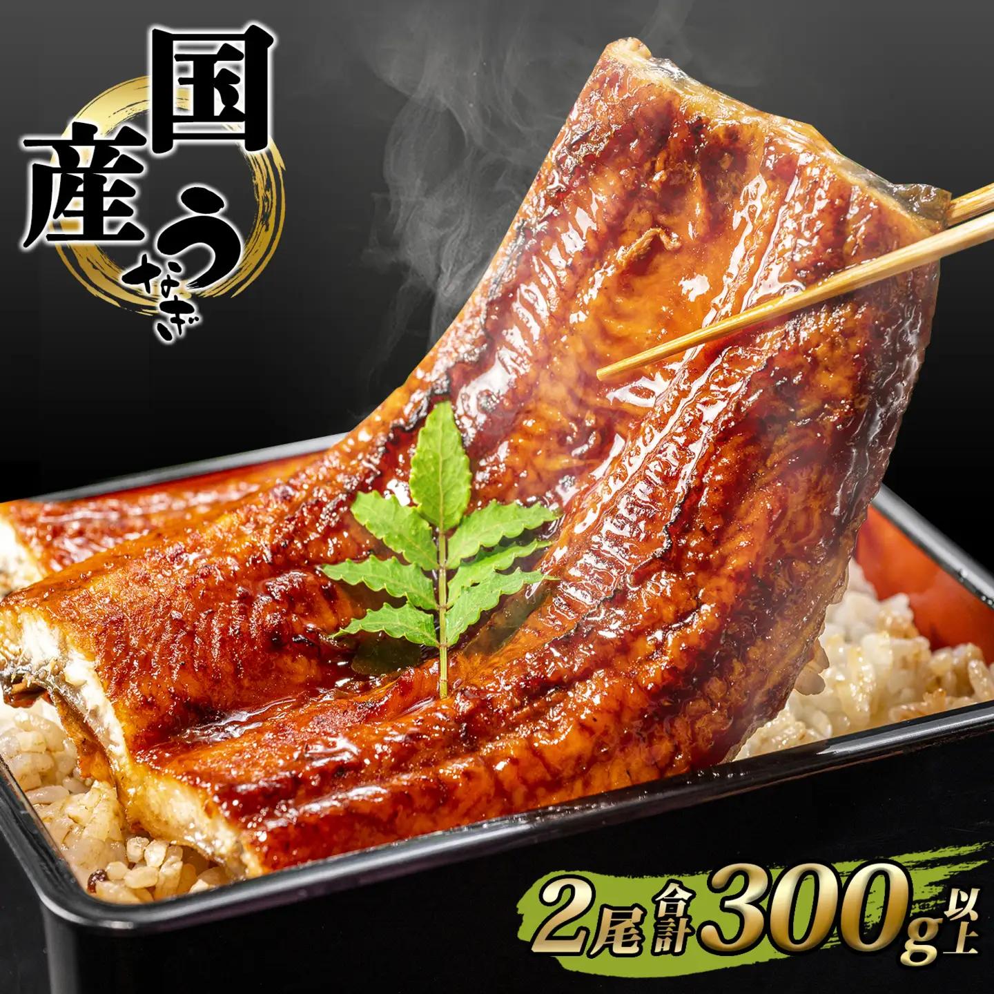 うなぎ蒲焼 2尾 国産 うなぎ 鰻 魚 K2390