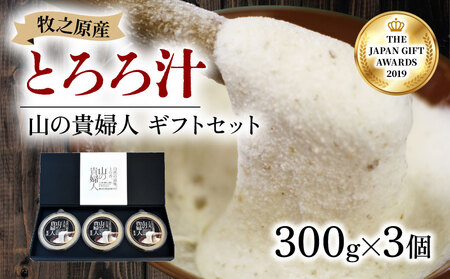 とろろ【ZIPで紹介されました!】 山の貴婦人 ギフト 300g × 3個  とろろ 