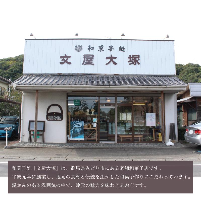 【19】岩宿遺跡の石器サブレ(プレーン24枚)