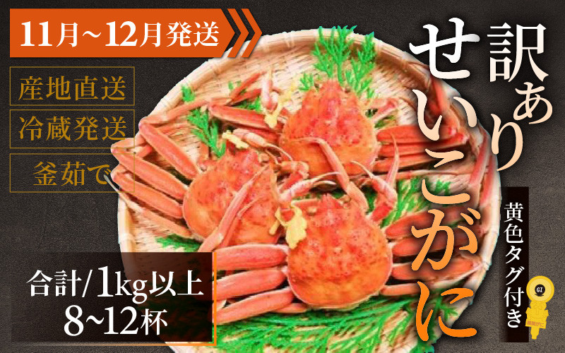 
【先行予約】【訳あり】 せいこがに 合計1kg以上（8～12杯）【11月～12月発送】
