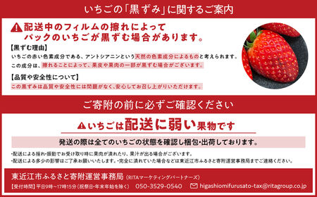 いちご かおり野 250g×2 こちファーム 滋賀県 東近江市 O-G03 いちご 苺 ストロベリー かおり野 大粒 完熟 産直 甘い ブランド苺 フルーツ 果物 滋賀