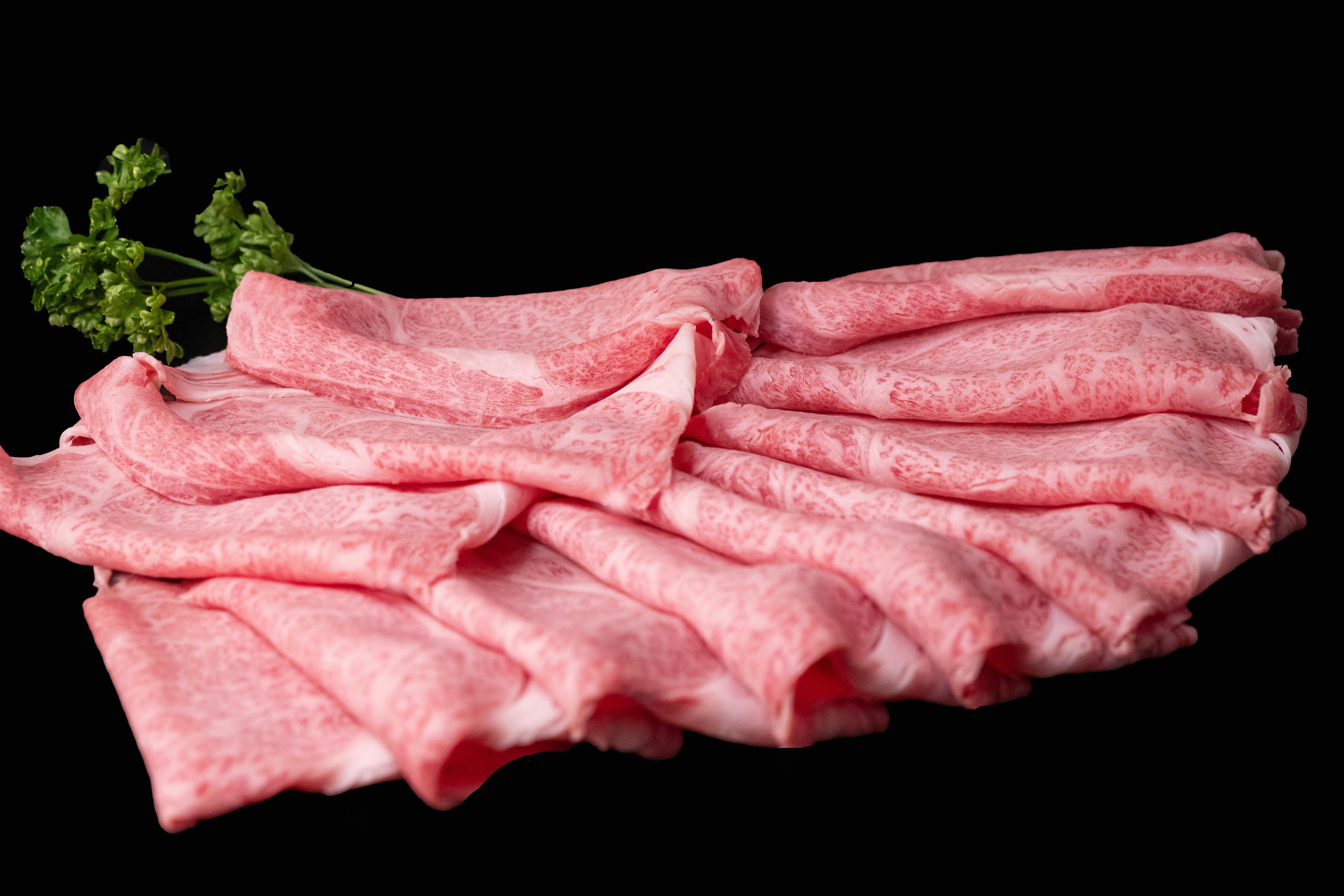 【10ヶ月定期便】佐賀牛肩ローススライス500g 999-J1486