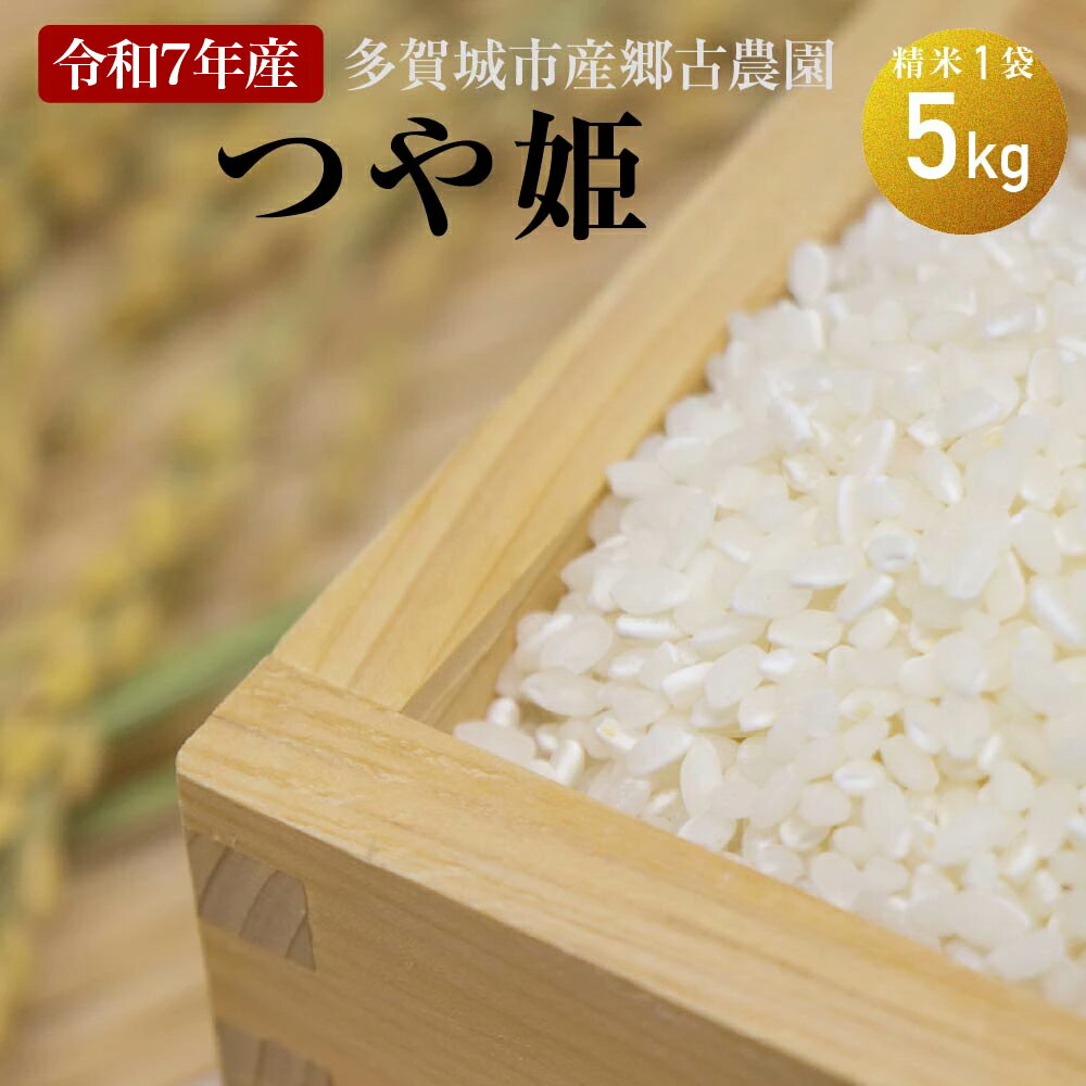 【ふるさと納税】 多賀城市産郷古農園つや姫　精米5kg（5kg×1袋）【令和7年産】 【04209-0281】 ( ふるさと納税 つや姫 お米 精米 令和7年産 米 5kg 宮城県 多賀城市 送料無料 )