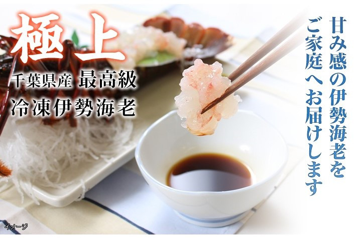 
F126 活〆生食用伊勢海老（冷凍）１６５０ｇ（１５０～１８０ｇ）×１０匹
