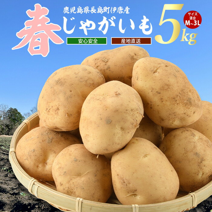 【ふるさと納税】＜新じゃが＞厳選手選別 長島町産春じゃがいも(5kg・M〜3L)国産 鹿児島県 伊唐島産 じゃがいも ジャガイモ ばれいしょ 馬鈴薯 野菜 根菜ジャガバター ポテト 春 旬 赤土 BBQ【旬感フーズ】horino-7073