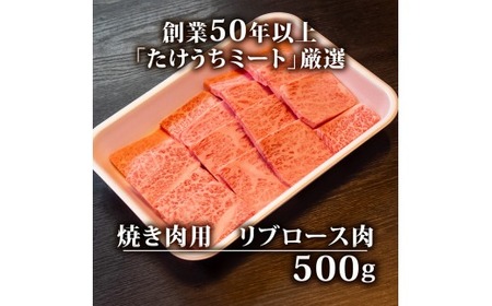 【定期便12回】土佐 黒毛 和牛 和牛定期便 焼肉用 計6kg（500g×12ヶ月) | たけうちミート定期便4Pコース リブロース ロース 最上位等級 A4 A5  焼き肉 やきにく 小分け 冷凍 
