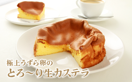 カステラ 極上うずら卵のとろ～り生カステラ 1箱 | うずらの卵 カステラ しっとり スイーツ