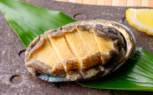 不老長寿の食材【あわびのステーキ〈３個〉×12回】天照大御神との宴 毎月お届けコース〈定期便12回発送〉【KN23】