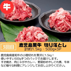 【E90001】＜定期便・全3回＞肝付町セレクト定期便《肉だらけ定期便A》 鹿児島 牛肉 黒毛和牛 豚肉 黒豚 鶏肉 唐揚げ 味付け 定期便 セレクト 加工品 肉加工品 簡単調理 冷凍 冷凍食品 【株
