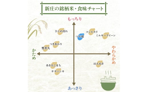 ＜定期便 6回＞ 令和6年産 つや姫 5kg×2 計10kg 6回 精米 【最上ノ米蔵】 山形県産 こめ お米 米 白米 F3S-2349