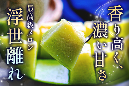 【先行予約】高級 メロン『浮世離れ』1玉【2026年7月下旬から8月上旬まで順次発送】一度は食べてみたい！市場に出回らない｜舐瓜 [0893]