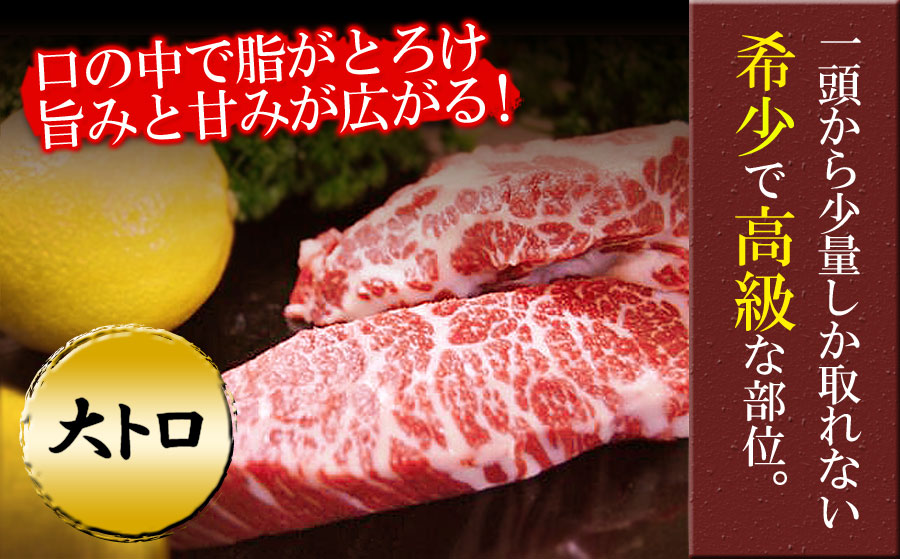 馬刺し3種食べ比べセットver.3 馬刺し 300g 霜降り 赤身 食べ比べ 詰め合わせ 馬肉 肉 生姜 醤油 人気 美味しい 新鮮 名物 特産品 熊本 阿蘇