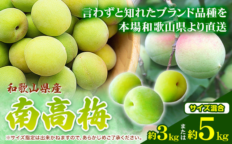 
            和歌山県産南高梅 選べる内容量 約3kg または 約5kg (サイズ混合) 厳選館《6月上旬-6月下旬頃出荷》和歌山県 日高町 うめ ウメ 梅 南高梅 和歌山県産 紀美野町【配送不可地域あり】
          