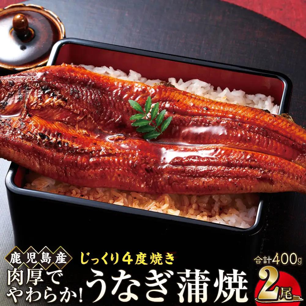 うなぎ 蒲焼 200g×2尾【鹿児島産】地下水で育てた絶品鰻｜国産 うなぎ 鰻 蒲焼 かばやき 魚 魚介 魚貝 海鮮 うな重 ひつまぶし ギフト 人気 おすすめ 土用丑の日 大崎町 大隅半島