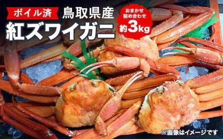  鳥取県産 ボイル 紅 ズワイガニ おまかせ詰め合わせ(約3kg) | カニ ズワイガニ ボイル 美味しさに 訳あり 大容量 ※着日指定不可※離島への配送不可※2026年2月上旬～4月下旬頃に順次発送予定