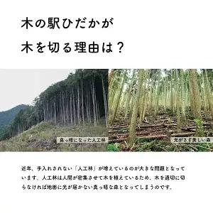 薪 乾燥薪 広葉樹ミックス 約12kg｜高知県産 薪ストーブ用 焚き火用 火持ち抜群 国産
