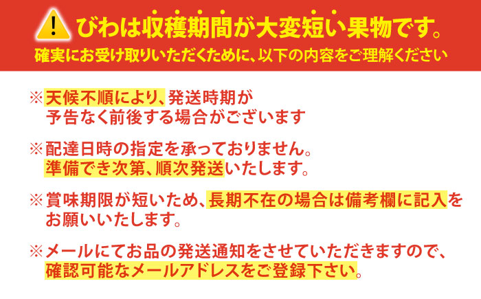 【数量限定】【先行予約】 びわ 琵琶 西海市産 約1kg L～2Lサイズ＜パッパラパー農園＞ [CFI002]