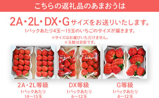 【2025年1月～2月順次発送予定】 あまおう 合計約1,080g 約270g×4パック