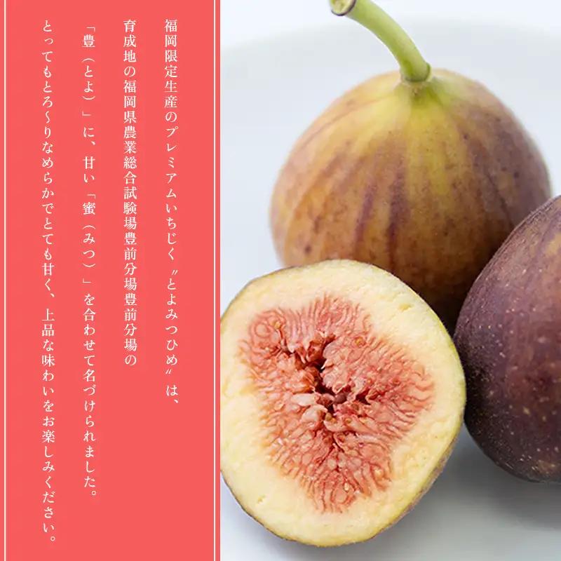 福岡限定!ブランドいちじく「とよみつひめ」約300g×4パック 3V15
