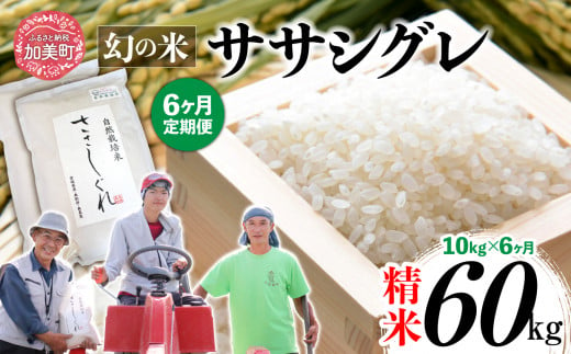 《 先行予約 》 【 6回 定期便 】ササシグレ 精米 10kg × 6回 （ 合計 60kg ）