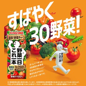 【3ヶ月連続お届け】カゴメ 野菜一日これ一本（200ml*24本入）[一日分の野菜 1日分の野菜 野菜100％ 紙パック 野菜ジュース 飲料類 ドリンク 野菜ドリンク 備蓄 長期保存 防災 無添加 砂