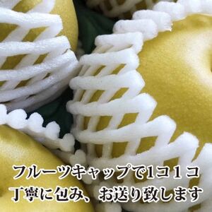 八幡浜の梨、果汁たっぷり!!「幸水」約4キロ【C39-40】【配送不可地域：離島】【1316573】