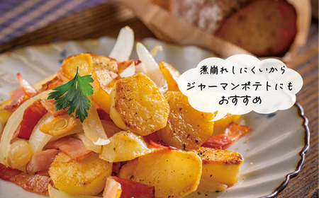 【10月下旬頃発送予定】＜乙部町産メークイン　小玉10kg＞北海道　道産　乙部町産　新じゃが　芋　いも　数量限定　ホクホク　しっとり　食べやすい　小玉サイズ　じゃがバター　塩煮　煮崩れしにくい