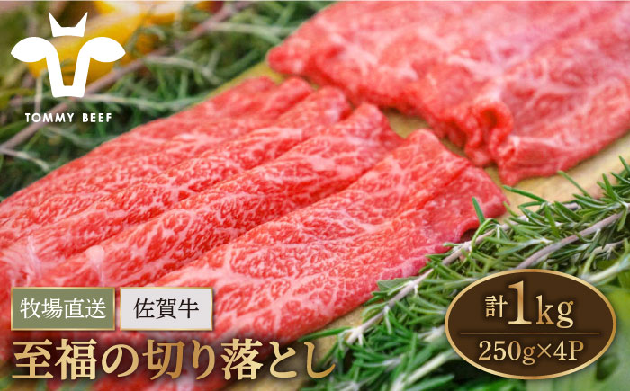 【牧場直送】佐賀牛 至福の切落し 1000g（250g×4パック）【有限会社佐賀セントラル牧場】 [IAH006]