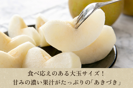 【2026年先行予約】「天果糖逸（てんかとういつ）」 新潟県産和梨 あきづき 約5kg（8～10玉）《9月下旬～配送予定》 加茂市 えちご中越農業協同組合