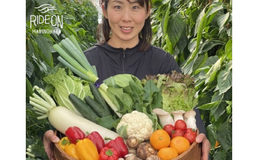 
054-7　生産者の顔が見える！12品目以上　お茶・野菜・お米セット
