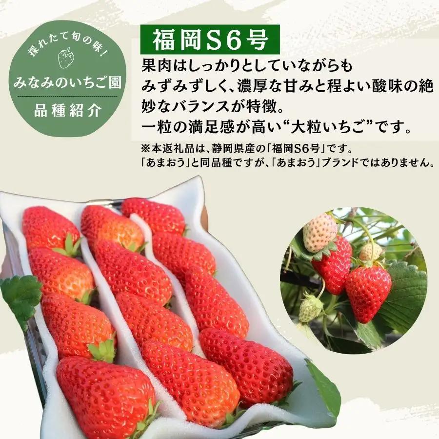 いちご【2027年発送】福岡S6号 2パック×280g 完熟いちご