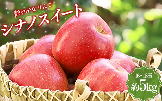 【小林果樹園】艶やかなりんご シナノスイート 約5kg（16～18玉）  りんご リンゴ 林檎 デザート フルーツ 果物 くだもの 果実 食品 F20C-733