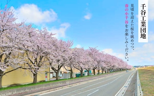 【4月19日(日) 開催中越大震災復興記念祭 千谷工業団地駐車チケット】 & 小千谷市認証ブランド米「錦の実り」特A 5kg×毎月3回定期便セット  新潟県 小千谷市 ブルーインパルス