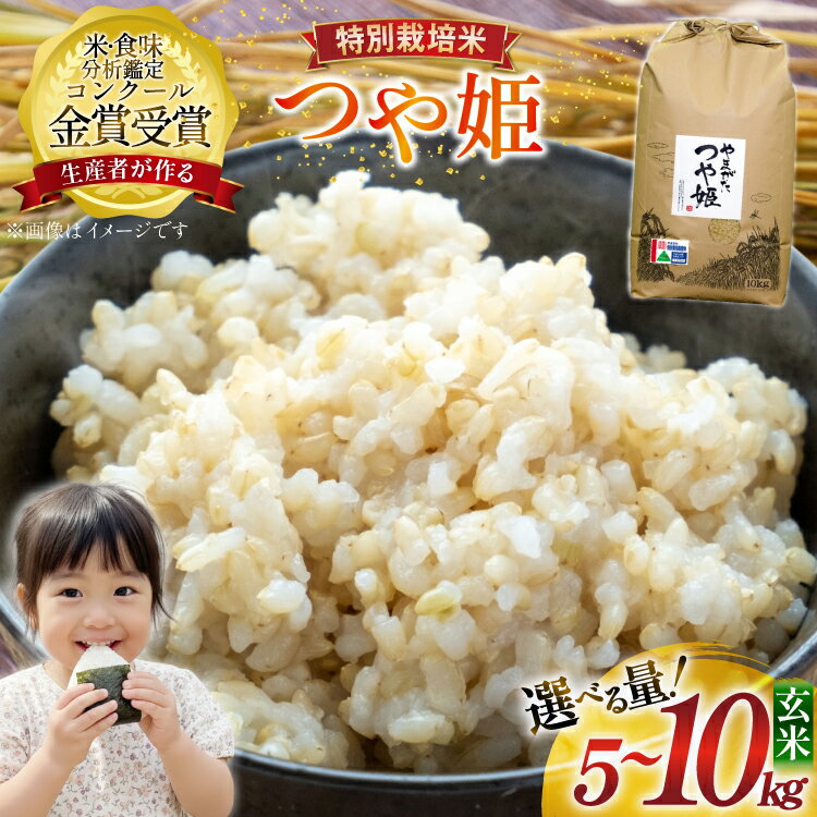【ふるさと納税】【選べる内容量】 米 令和7年産 つや姫 5kg 10kg 特別栽培米 玄米 [農家の蔵出し米生産組合 山形県 高畠町 tk06ays900041] コメ ご飯 ごはん お米 ブランド米 kome 山形 5キロ 10キロ
