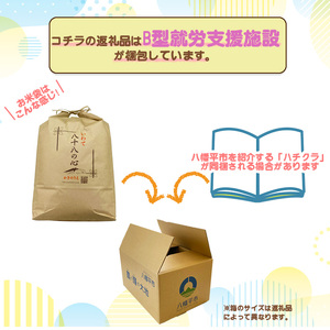 令和6年産 銀河のしずく 玄米 10kg ／ 米 産地直送 岩手県産 【かきのうえ】