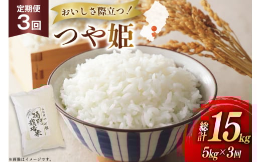 米 定期便 3回 令和7年 つや姫 5kg 3回 計15kg [渡部ファーム 山形県 高畠町 tk06ays810037] お米 白米 精米 ごはん ご飯 ブランド米