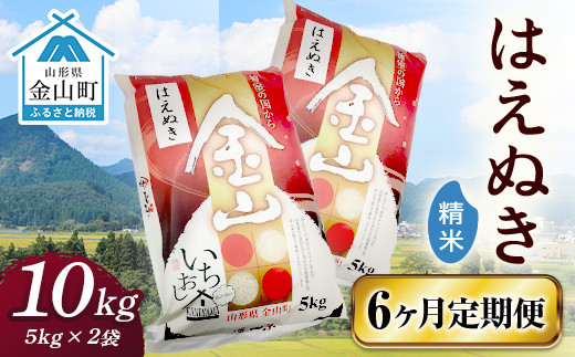 
令和6年産 金山産米 はえぬき 【精米】（5kg×2袋）×6ヶ月 計60kg 定期便 米 お米 白米 ご飯 ブランド米 送料無料 東北 山形 金山町 F4B-0533
