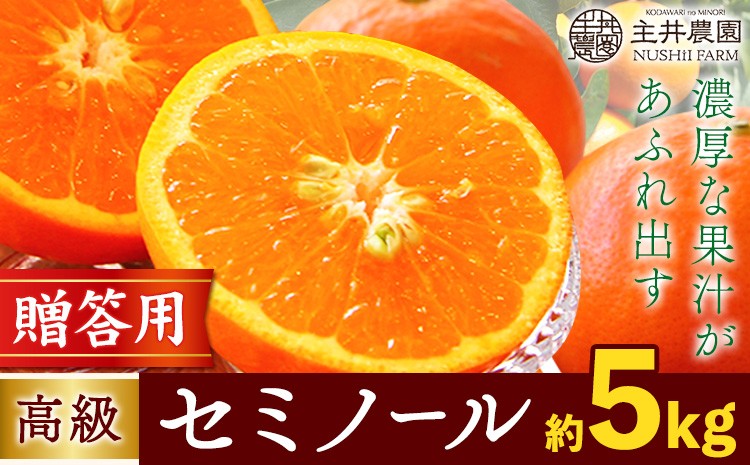 
                  柑橘 高級 セミノール 贈答用 約 5kg 主井農園《4月下旬-5月下旬頃出荷》 和歌山県 日高町 セミノール 柑橘 高級 贈答用 贈り物 みかん オレンジ プレゼント ギフト 記念日 送料無料
                