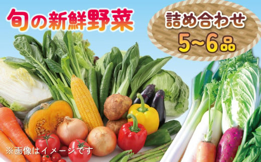 季節の野菜 詰合せセット 5～6品目 国産 朝採れ 新鮮 旬 季節野菜 産地直送 鮮度抜群 玉ねぎ パプリカ ブロッコリー ニラ ナス ミニトマト きゅうり にんにく ベビーリーフ バジル サンチュ ズッキーニ ゴーヤ カリフラワー さつまいも ミニ白菜 小松菜 ほうれん草  野菜 やさい サラダ スープ 味噌汁 鍋 美容 健康 冷蔵 お取り寄せ グルメ 送料無料  徳島県 阿波市 安友農園