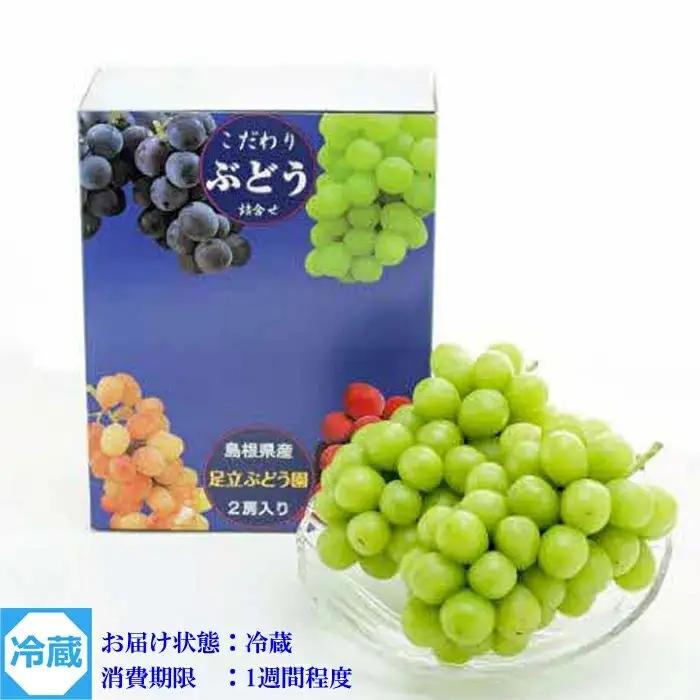 【先行受付】シャインマスカット 600g × 2房 【1.2kg ぶどう ブドウ 葡萄 2026 予約 先行予約 種なし 皮ごと 甘い 完熟 フルーツ おすすめ 旬 お取り寄せ 島根県 安来市】 【2