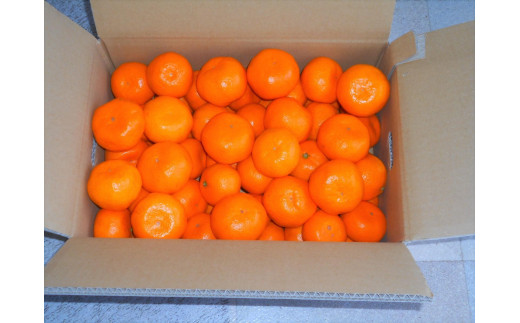 紀州有田みかん 秀品 約5kg サイズおまかせ（Ｌ・M・S）いずれかお届け［SL48］