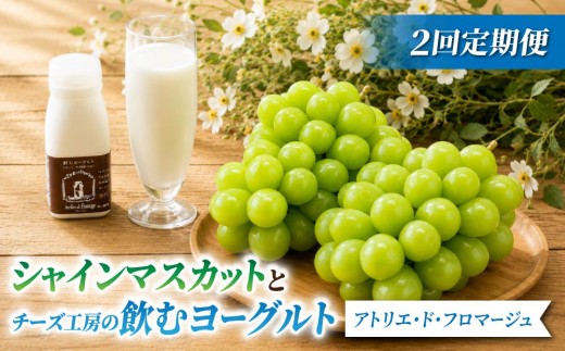 
                  【2回定期便】シャインマスカットとチーズ工房の飲むヨーグルト（シャインマスカット2房／飲むヨーグト プレーンタイプ10本）｜【JA信州うえだ／アトリエ・ド・フロマージュ】ぶどう 葡萄 大粒 果物 フルーツ  頒布会 長野
                