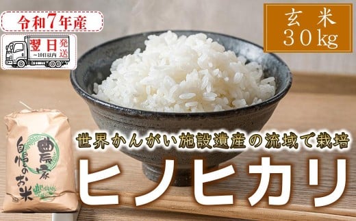 【玄米】【 最短 翌日発送 】令和7年産 ヒノヒカリ 八千種米 お米 30kg ごはん 兵庫県産 世界かんがい施設遺産登録『西光寺野疏水路』