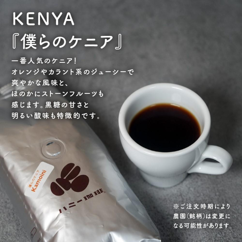 【セット】コーヒー豆200g×3種セット　スペシャルブレンド/僕らのケニア/季節ブレンド