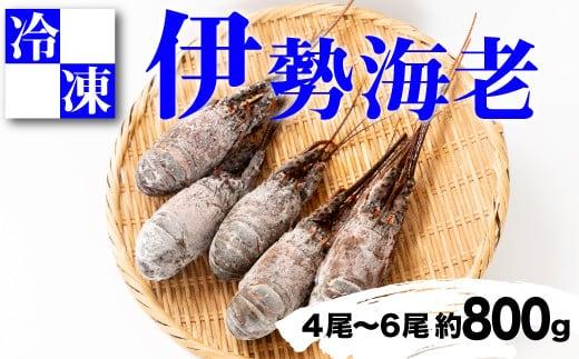 【訳あり】静岡県産　冷凍伊勢海老　4尾〜6尾　800g相当　沼津我入道漁業協同組合からお届け！