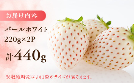 【先行予約】佐賀県産 パールホワイト 約220g×2パック / イチゴ 苺 フルーツ 果物 / 佐賀県 / かわさきいちご [41ASBJ003]